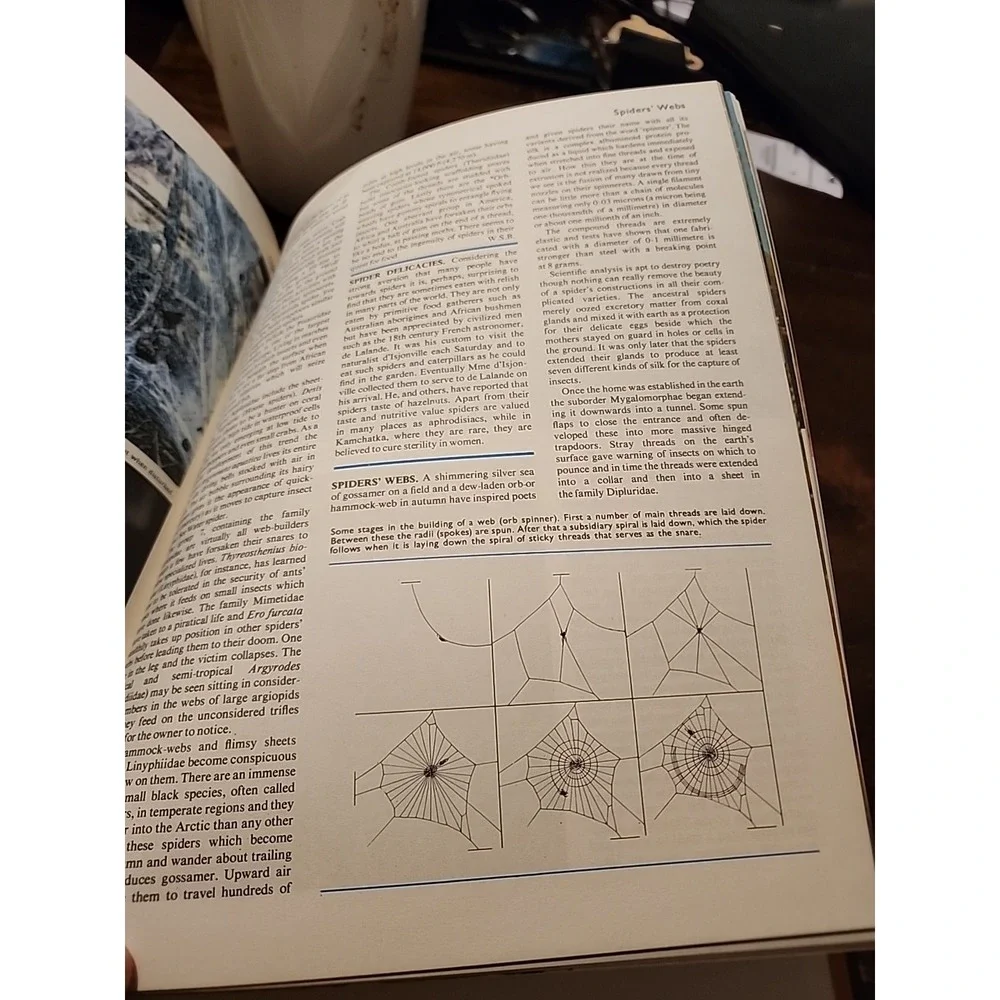 Encyclopedia of the Animal World Vol 18 Vtg 1972 Shape - Starfishes